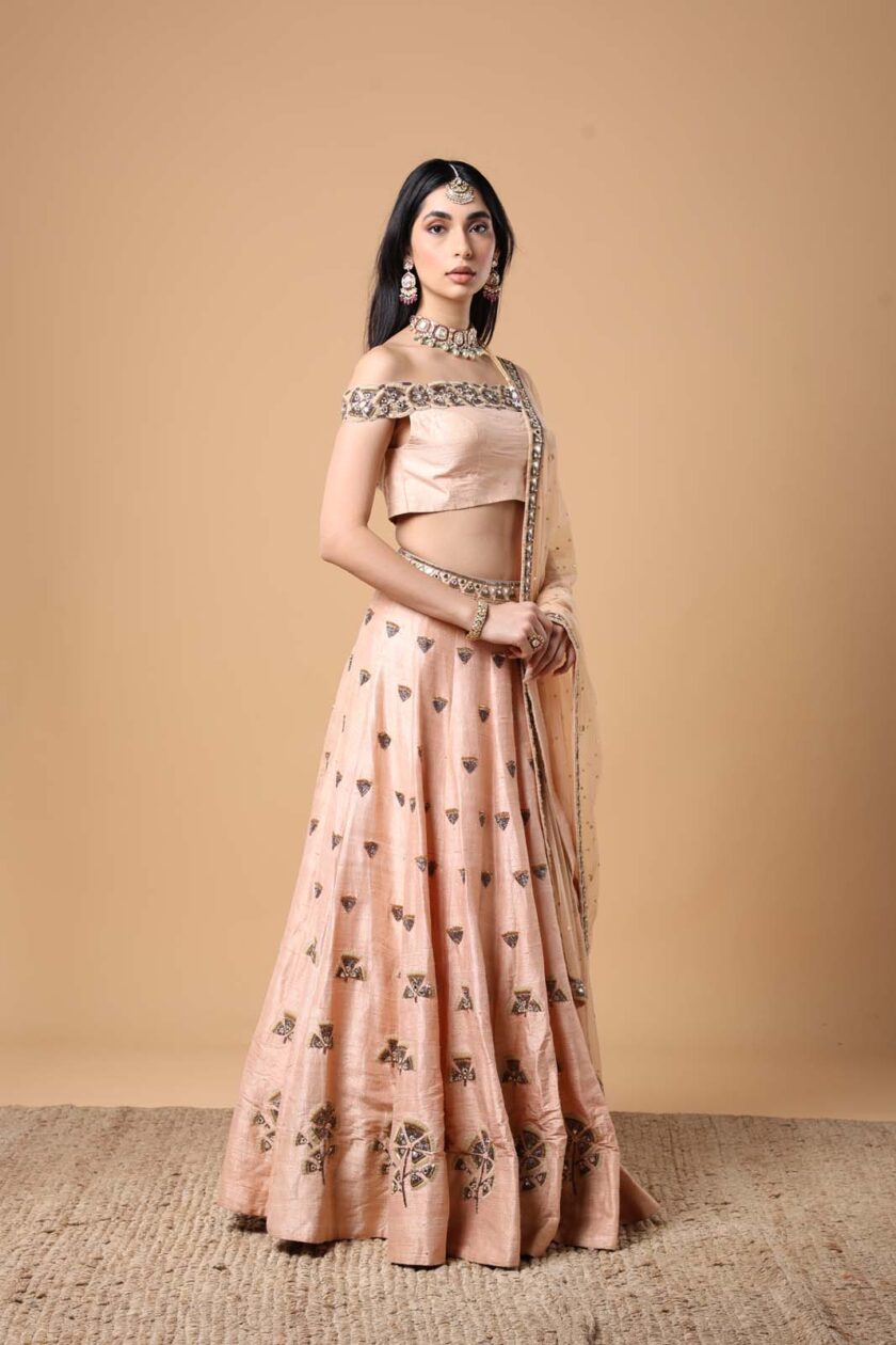 Peach Ginko hand embroidered lehenga set - Image 3