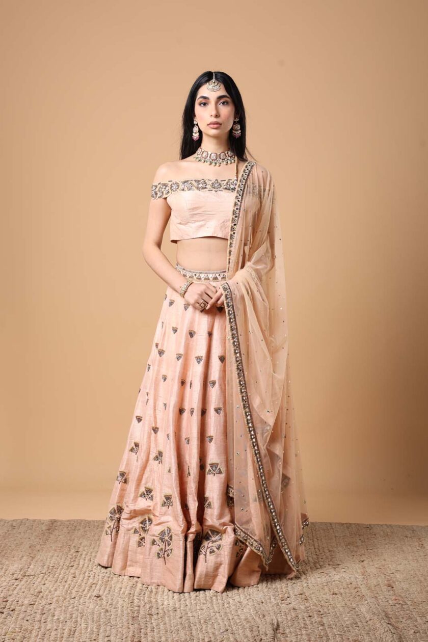 Peach Ginko hand embroidered lehenga set