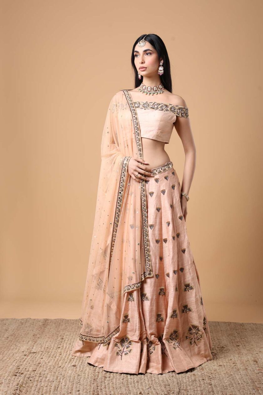 Peach Ginko hand embroidered lehenga set - Image 2