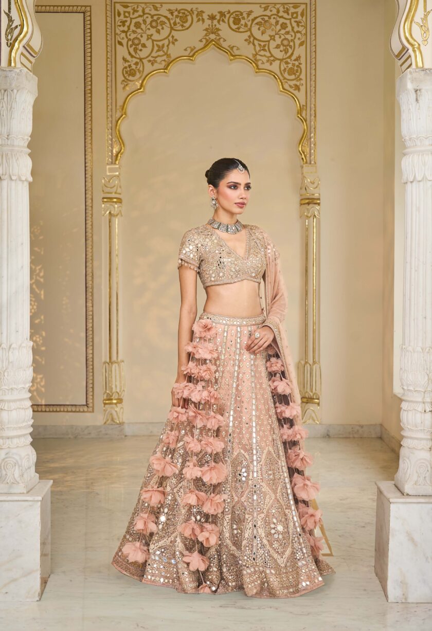Dust Pink & Rose gold hand embroidered net lehenga set - Image 3