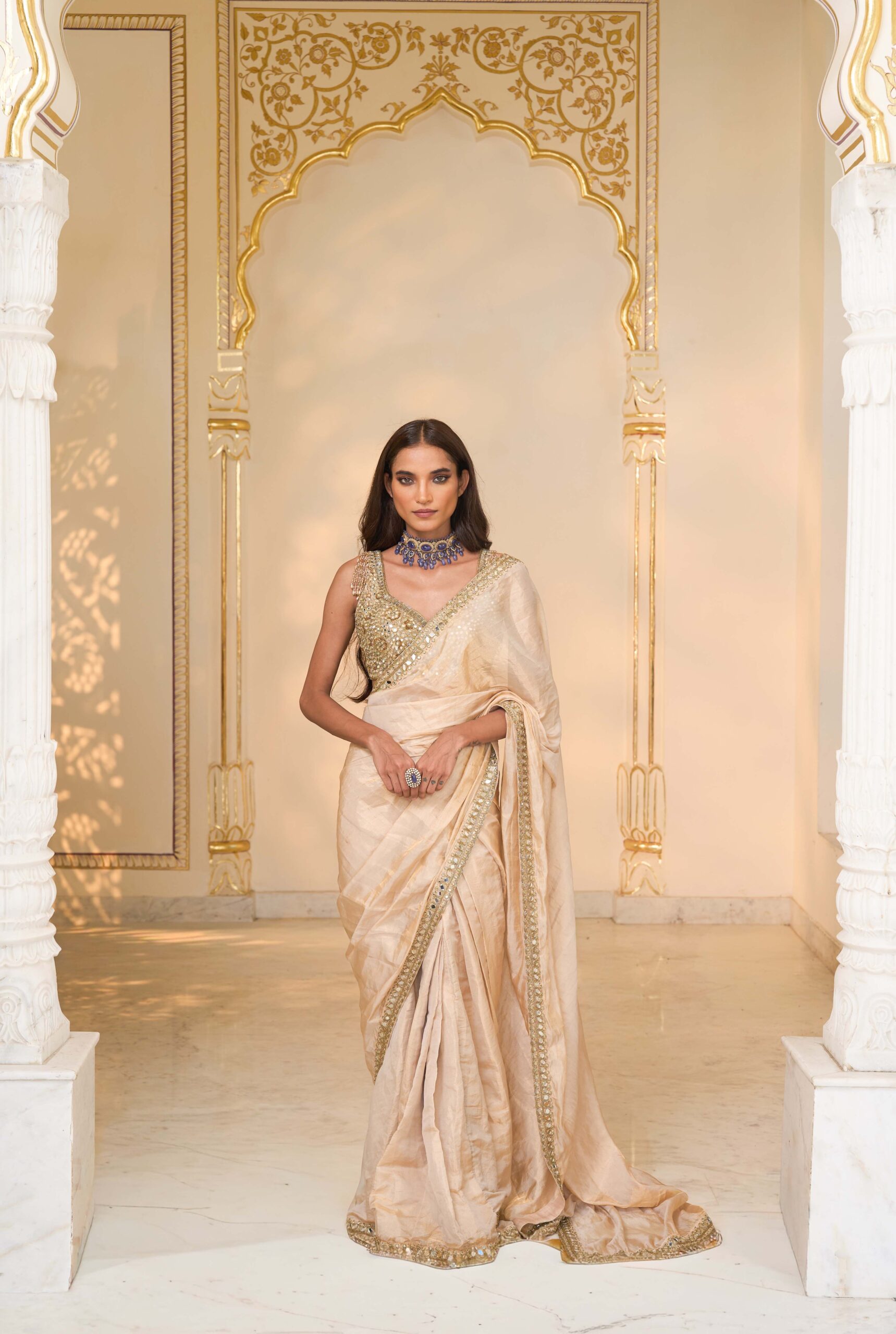 Gold tissue hand embroidered sari set