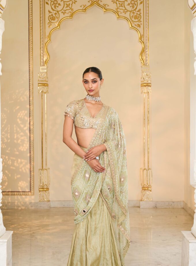 Sea green tissue godet hand embroidered sari set