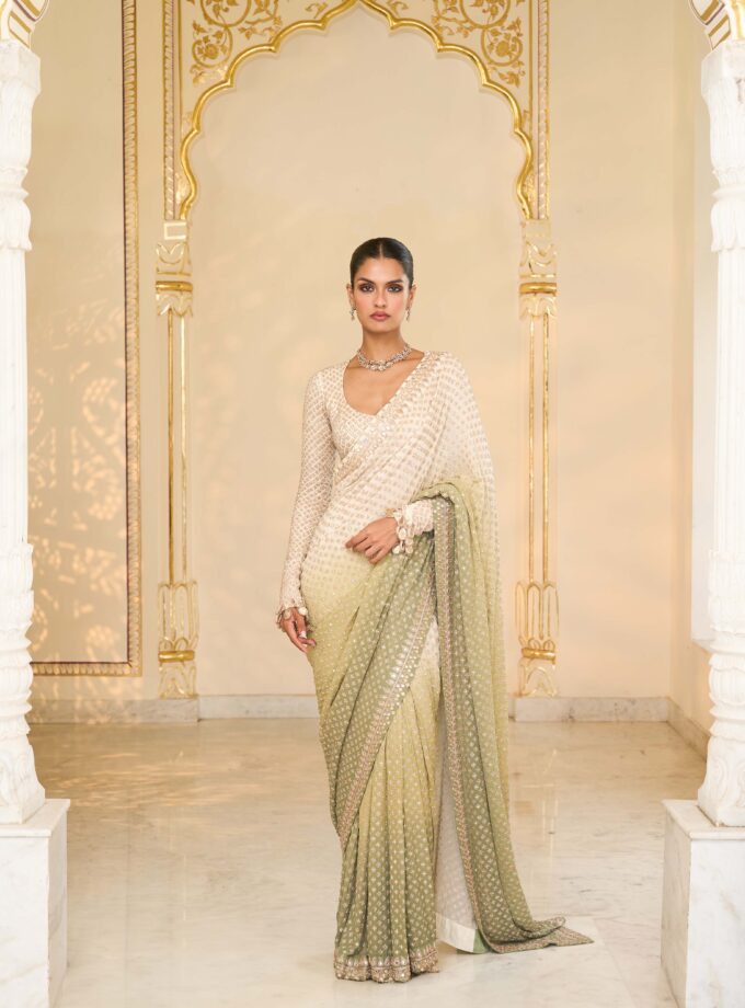 Green shaded hand embroidered sari set
