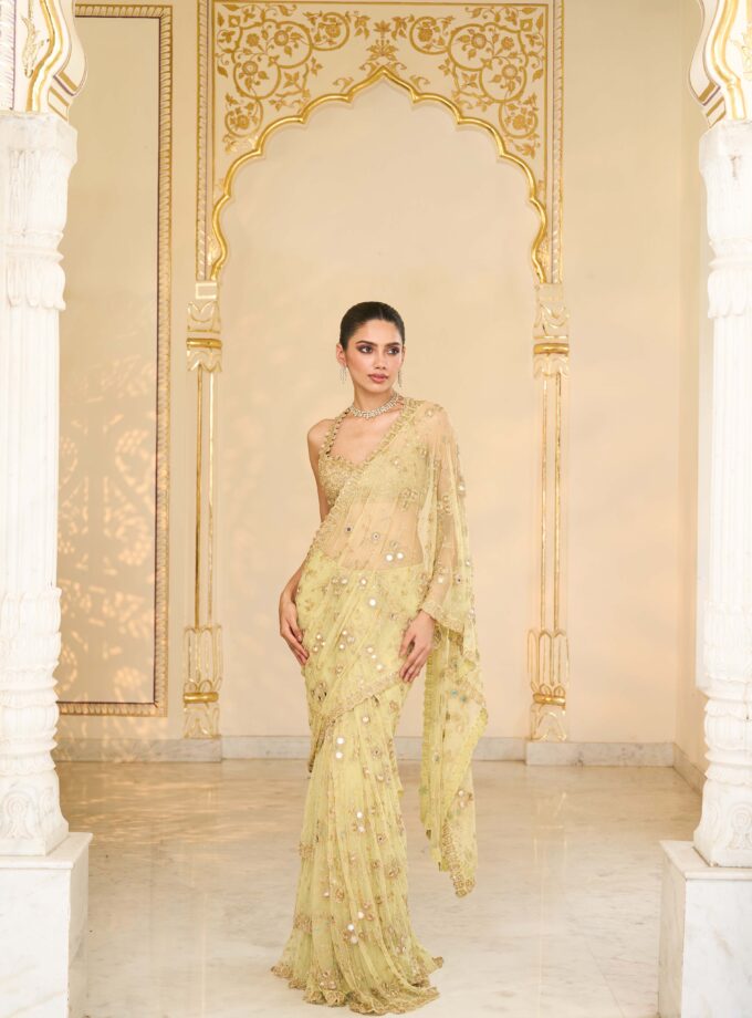 Mint green hand embroidered sari set
