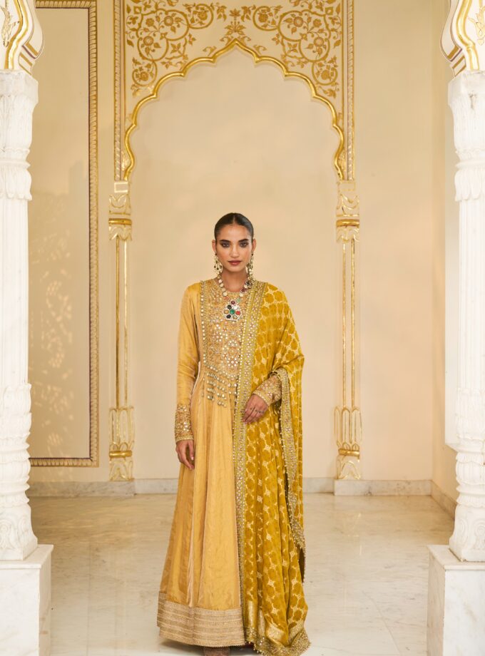 Yellow tissue & multi thread hand embroidered anarkali set
