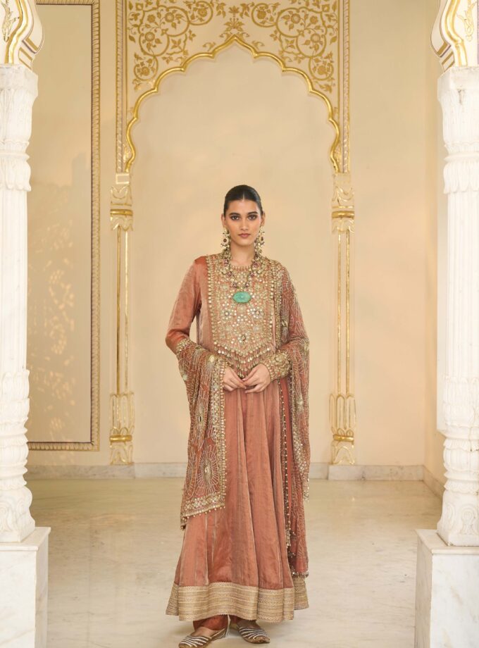 Light brick tissue hand embroidered anarkali set