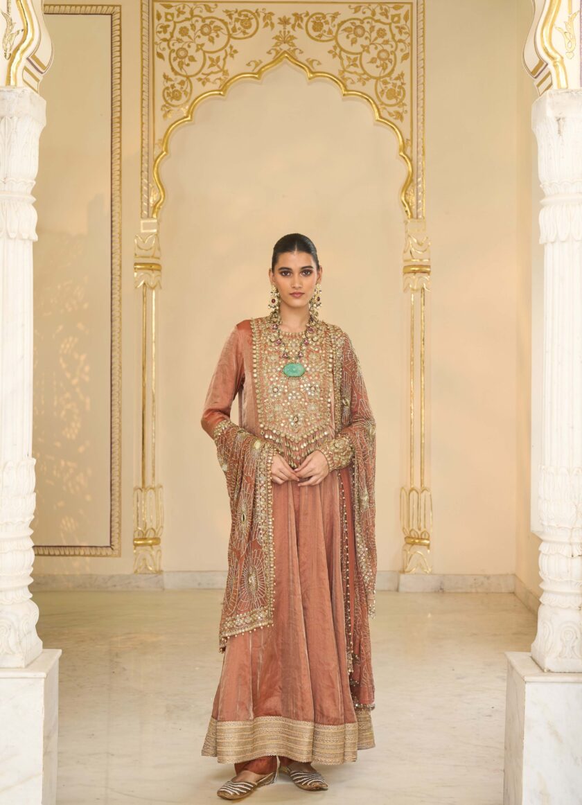 Light brick tissue hand embroidered anarkali set