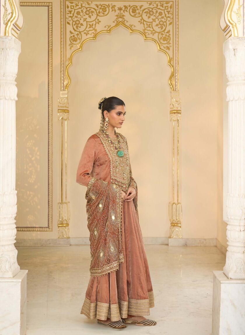 Light brick tissue hand embroidered anarkali set - Image 3