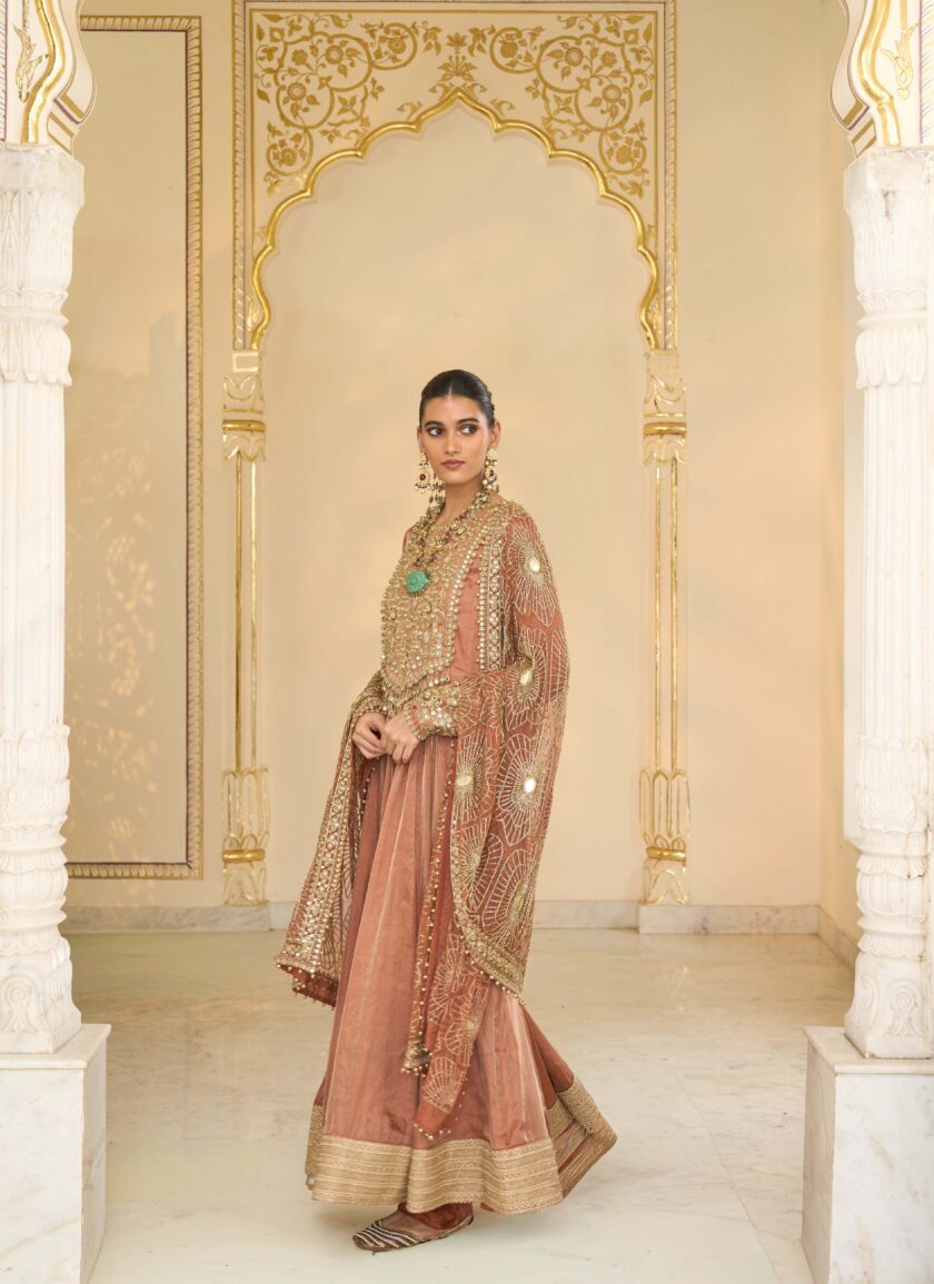 Light brick tissue hand embroidered anarkali set - Image 2