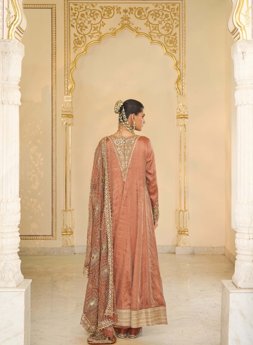 Light brick tissue hand embroidered anarkali set - Image 4