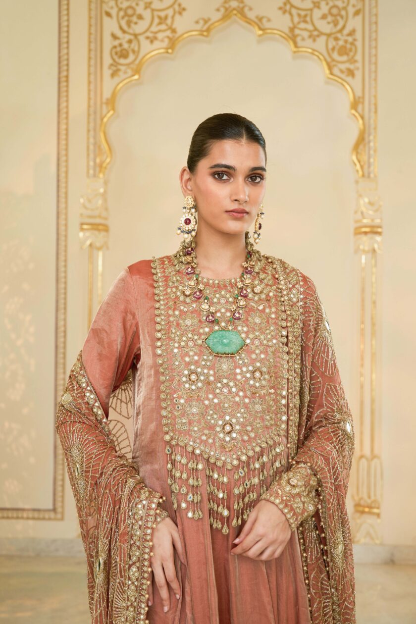 Light brick tissue hand embroidered anarkali set - Image 5
