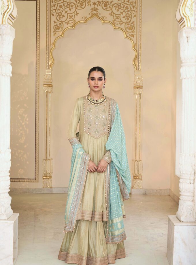 Mint green tissue & multi thread hand embroidered short anarkali set