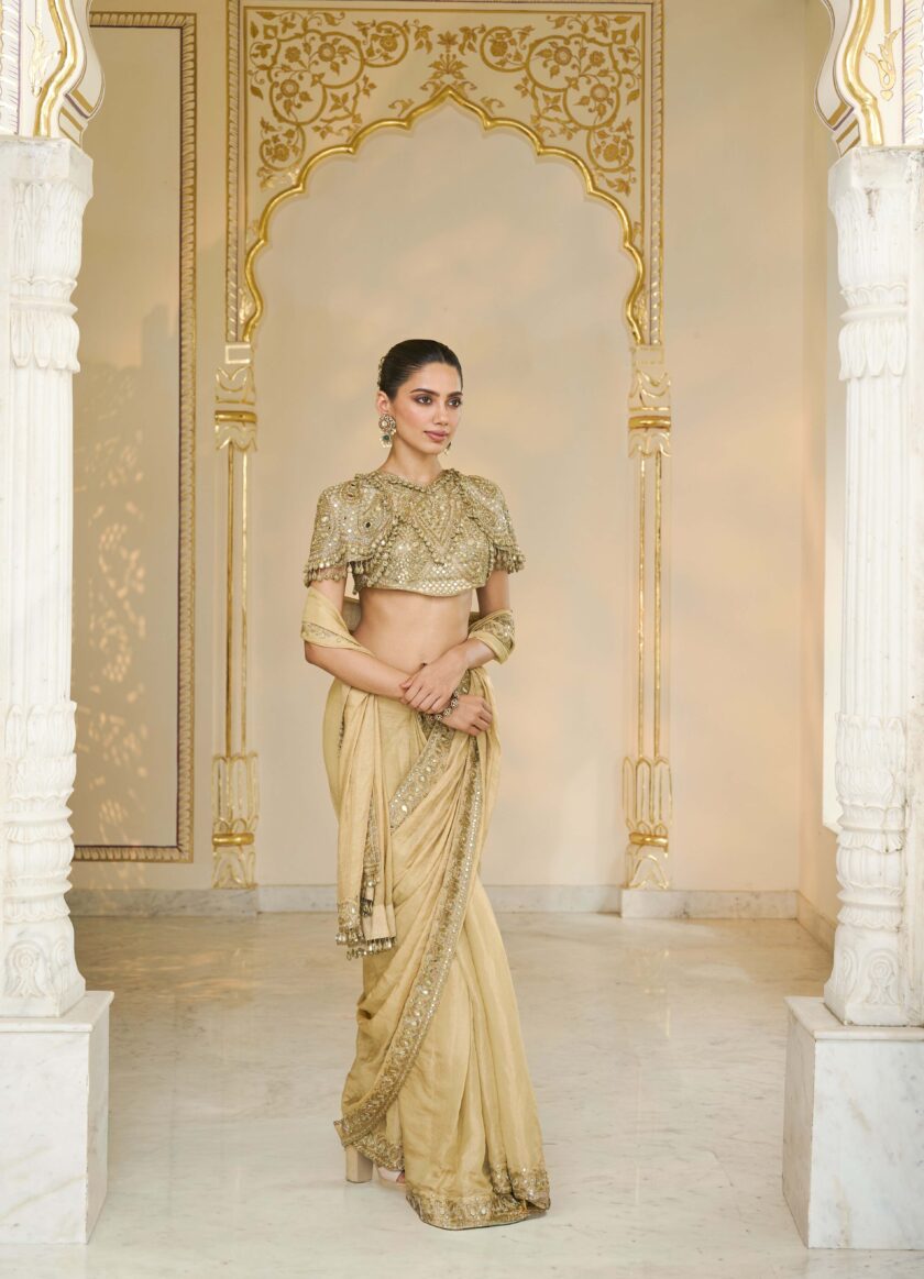 Gold tissue hand embroidered classic sari set - Image 3