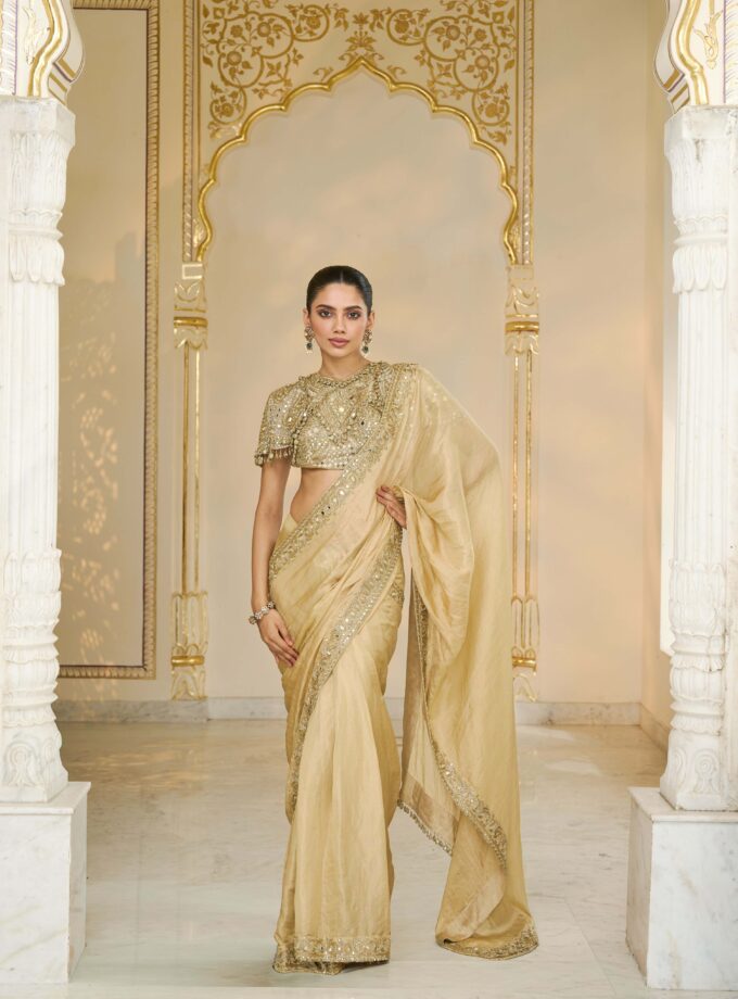 Gold tissue hand embroidered classic sari set