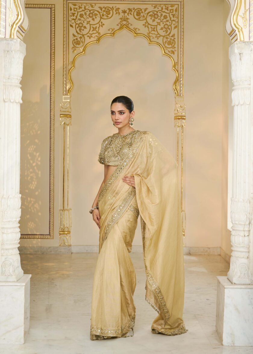 Gold tissue hand embroidered classic sari set - Image 2
