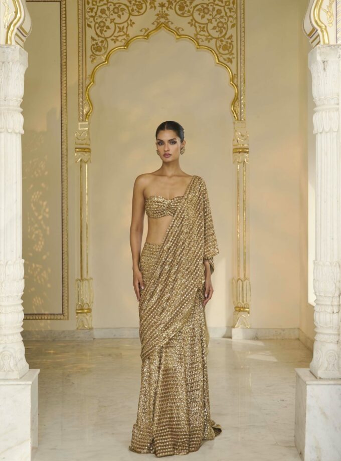 All beige gold sequin hand embroidered sari set