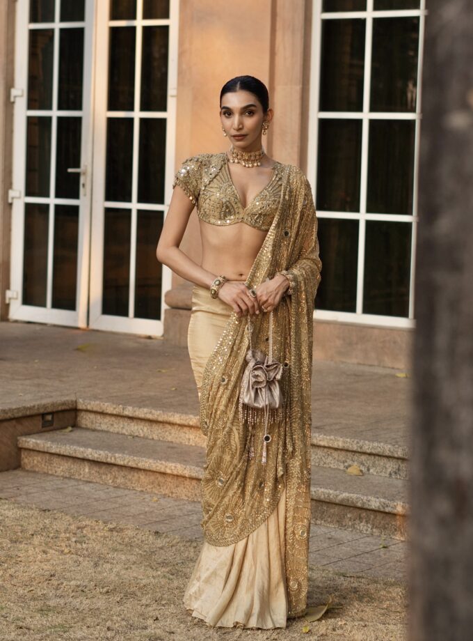 Gold tissue hand embrodered sari set