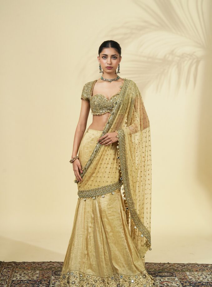 Gold tissue godet sari set