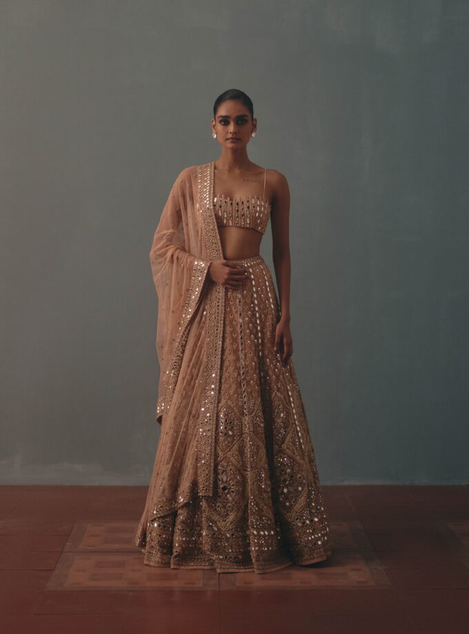 Dust Pink hand embroidered lehenga set