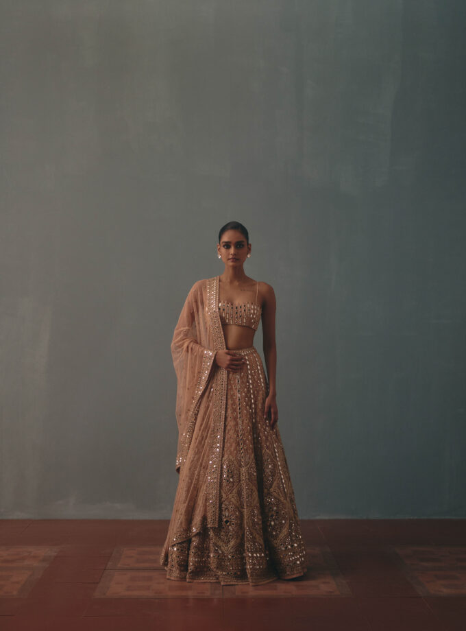 Dust Pink hand embroidered lehenga set