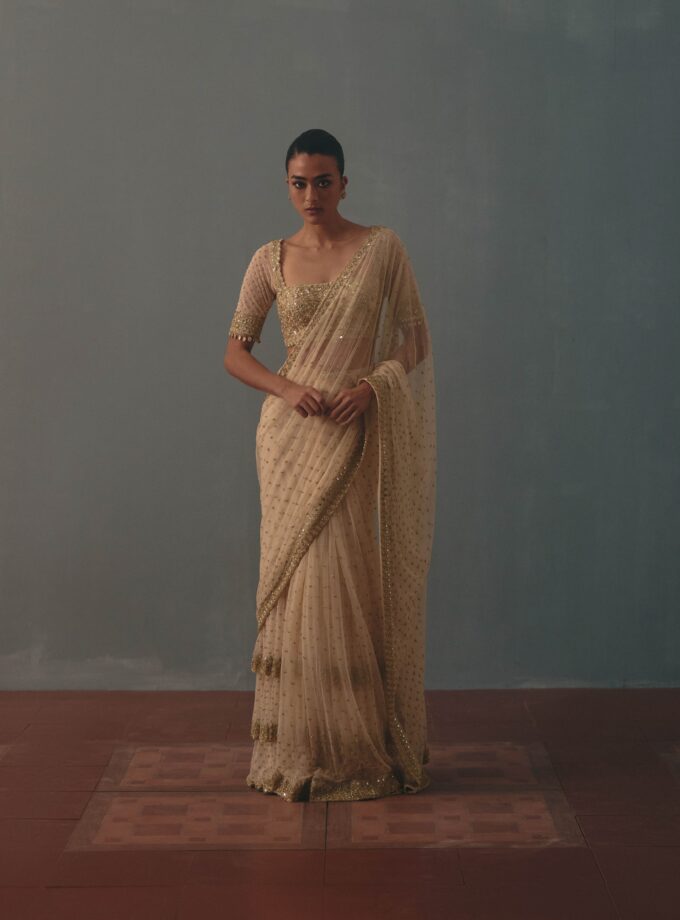 Coconut & pani gold hand embroidered tiered net sari set