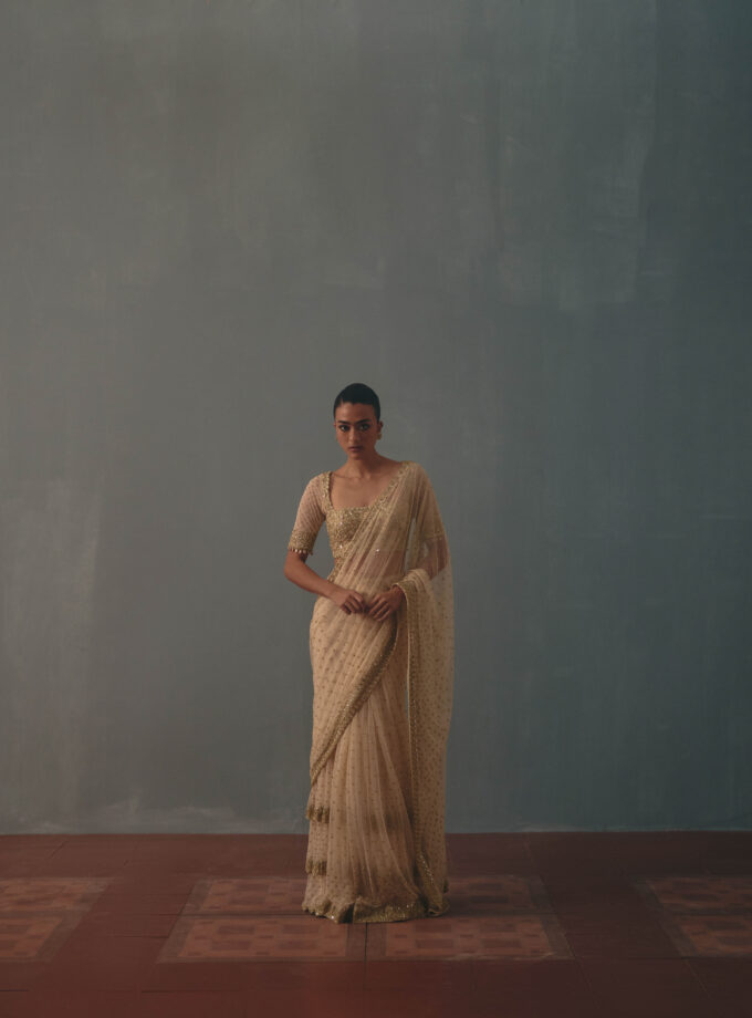 Coconut & pani gold hand embroidered tiered net sari set