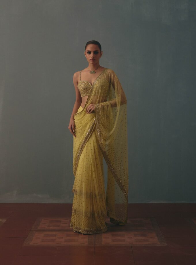 Butter yellow & pani gold hand embroidered tiered net sari set