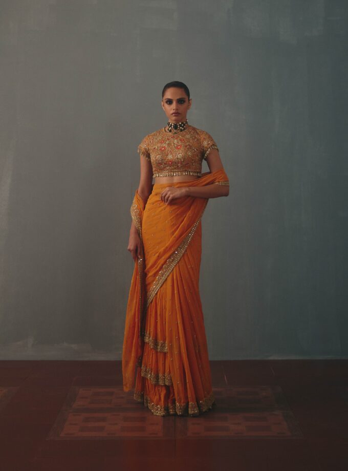 Mango & pani gold hand embroidered tiered sari set