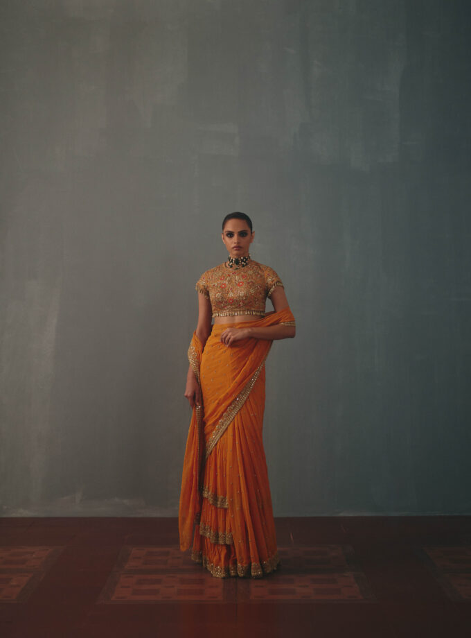 Mango & pani gold hand embroidered tiered sari set